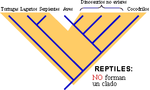 Reptiles is not a clade