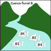 River Basin B